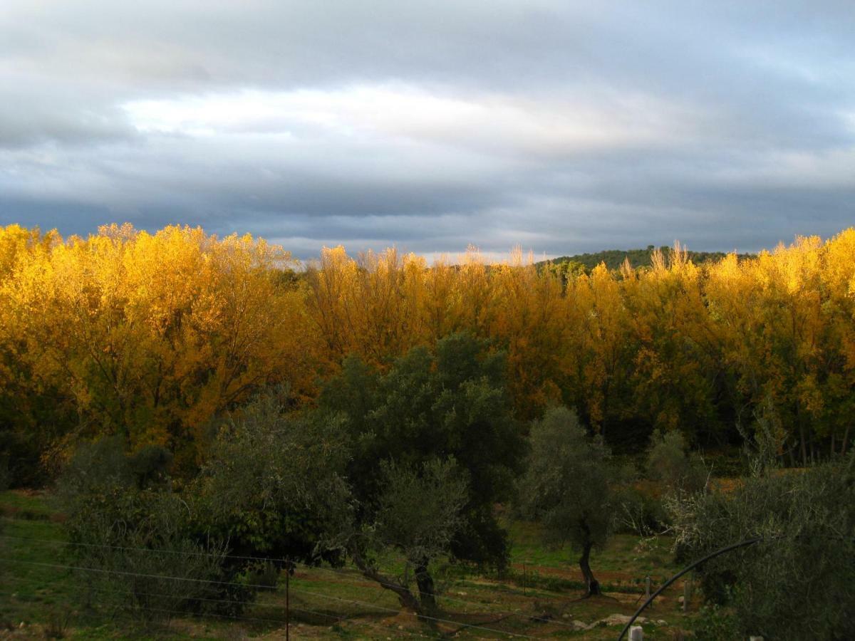 Vivienda Rural Olivar Del Chanza Villa Cortegana Eksteriør bilde